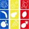 Drawing Stencils, Hollow Out Drawing Templates, Plastic Animal Stencils for Craft Projects (5.6 x 6 Inch) - 54 Pack